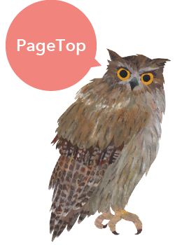 pagetop